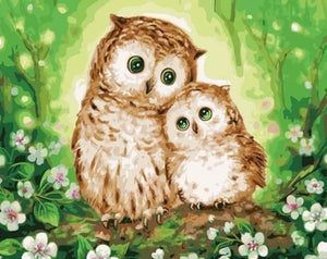 Owl Always Love You