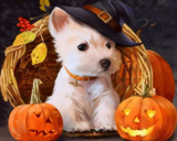 Puppy Pumpkin