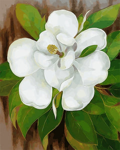 Gardenia