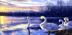 Swans