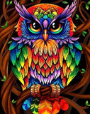 Colourful Owl