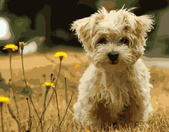 Puppy and Dandelions